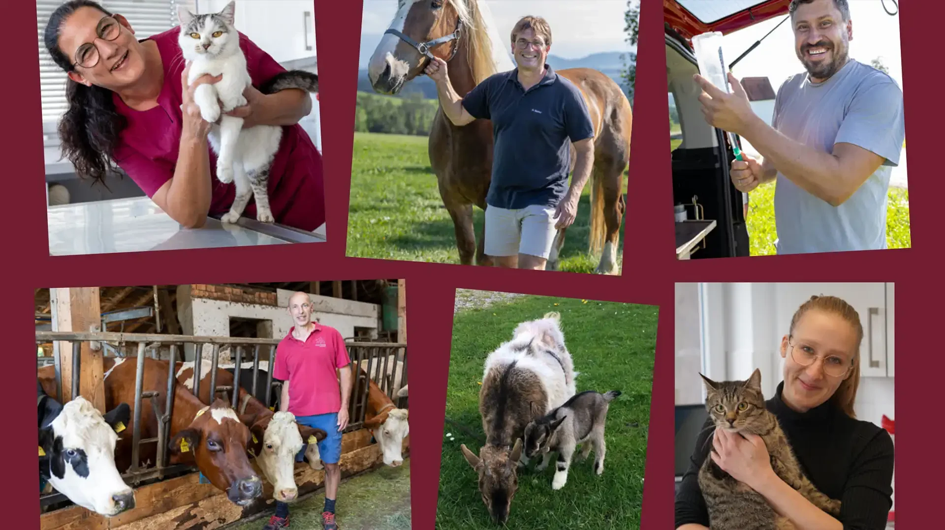 Pressemitteilung Tierarzt Lechbruck
